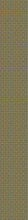 patterned-wallpaper-bamboo-classic