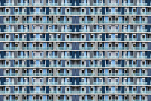 photo-wallpaper-hive-under-construction-x