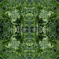 patterned-wallpaper-the-jungle-portal