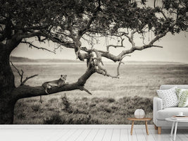 photo-wallpaper-queen-x