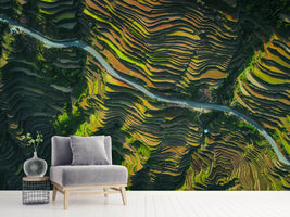 photo-wallpaper-the-way-of-terraced-fields-x