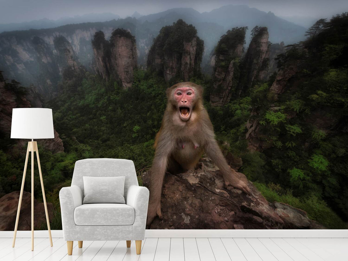photo-wallpaper-macaco-rhesus-x