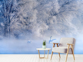 photo-wallpaper-swan-lake-x