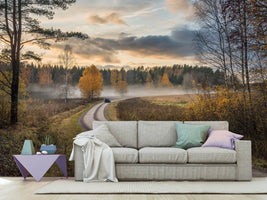 photo-wallpaper-drive-in-autumn-colors-x