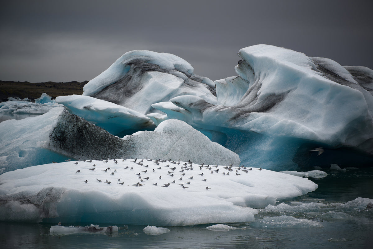 photo-wallpaper-in-the-land-of-fire-and-ice