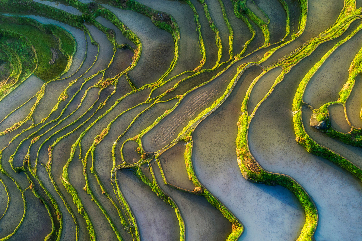 photo-wallpaper-terraced-fields-x