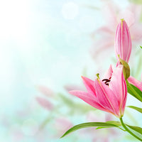 photo-wallpaper-romantic-lilies