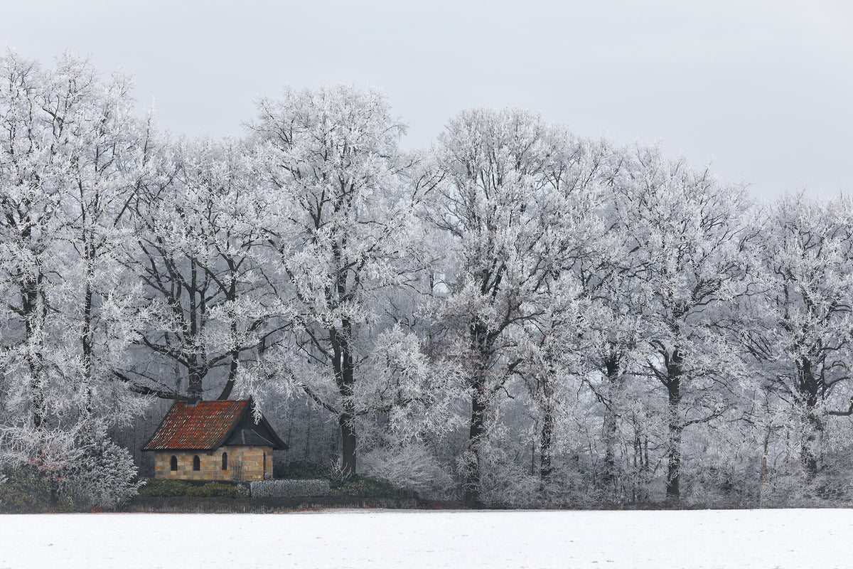 photo-wallpaper-chapel-and-rime-x