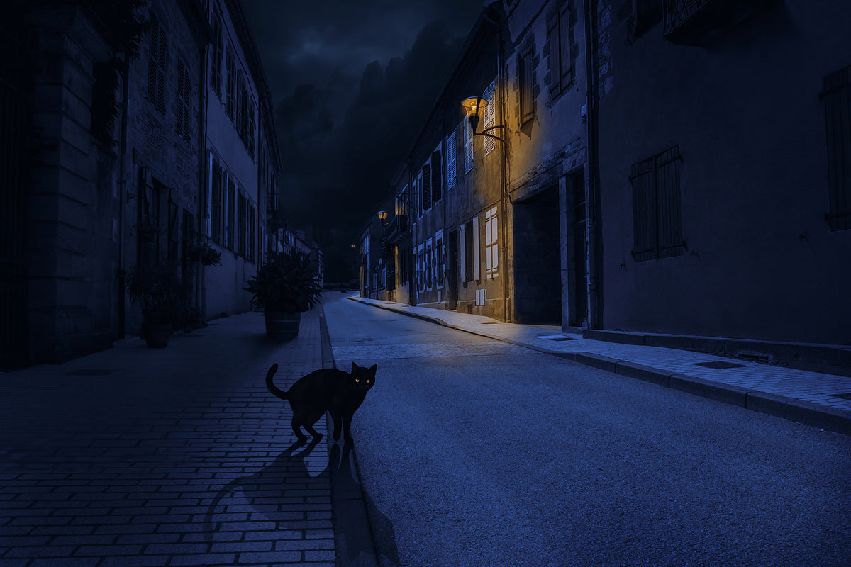 photo-wallpaper-le-chat-noir