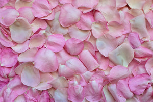 photo-wallpaper-rose-petals-in-pink-ii