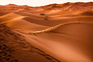 photo-wallpaper-traces-in-the-desert