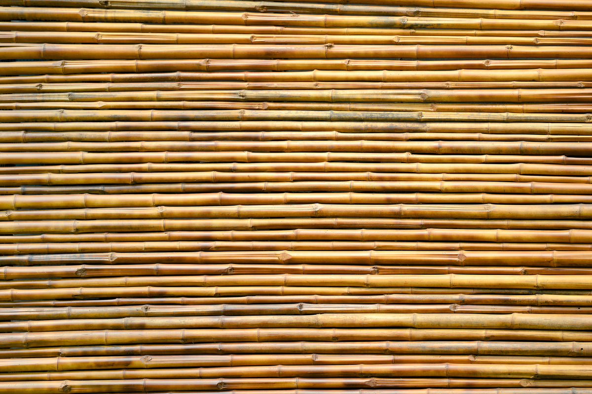 photo-wallpaper-horizontal-bamboo-wall