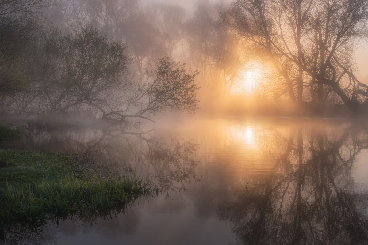 photo-wallpaper-may-morning-in-zarechie-x