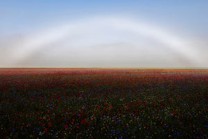 photo-wallpaper-fogbow-x