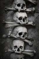 photo-wallpaper-skulls