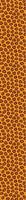 patterned-wallpaper-leopard-spots