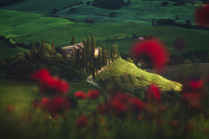 photo-wallpaper-tuscany-spring-blossoms