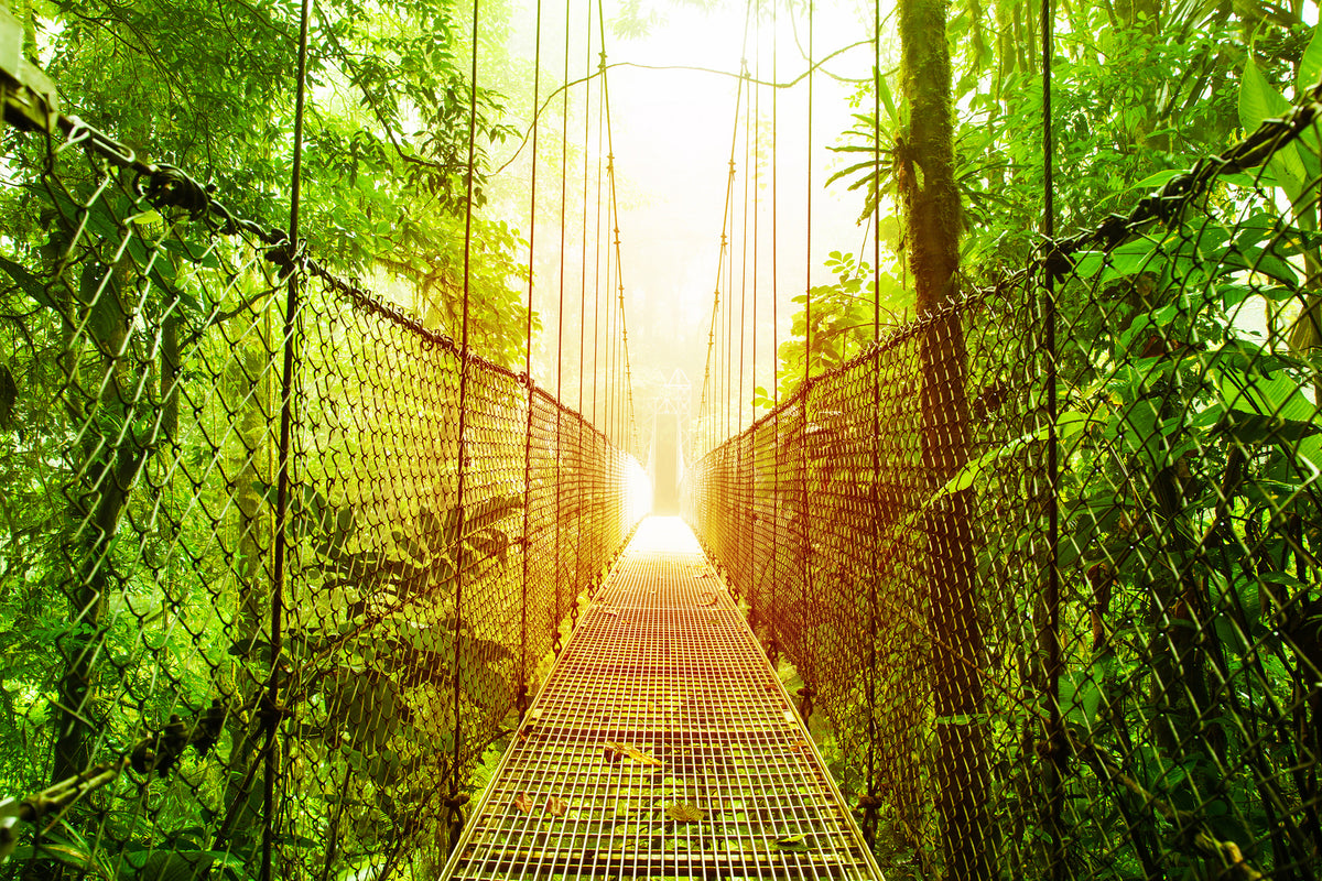 photo-wallpaper-suspension-bridge