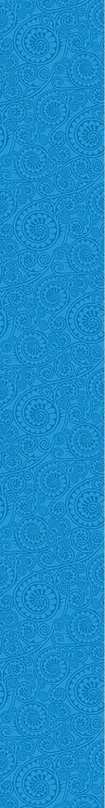 patterned-wallpaper-jodhpur-blue