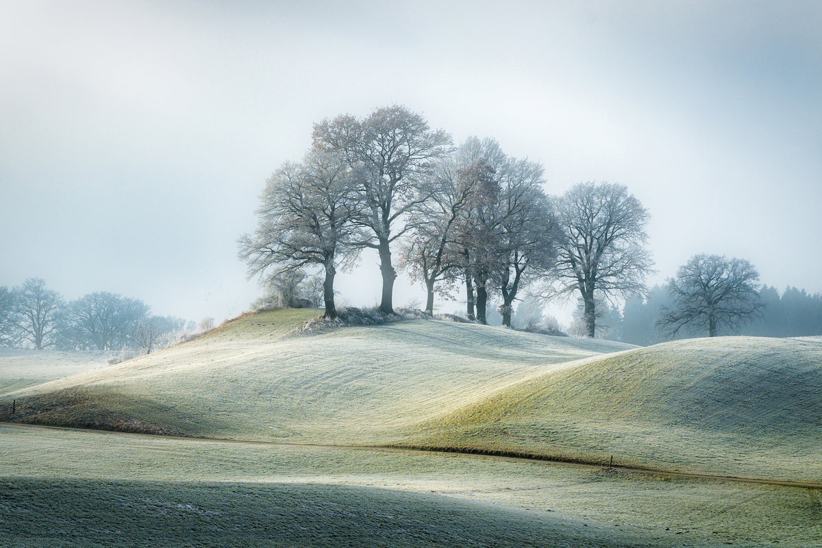 photo-wallpaper-it-is-not-in-tuscany-x