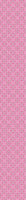 patterned-wallpaper-paradise-pink