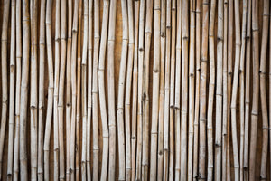 photo-wallpaper-dried-bamboos