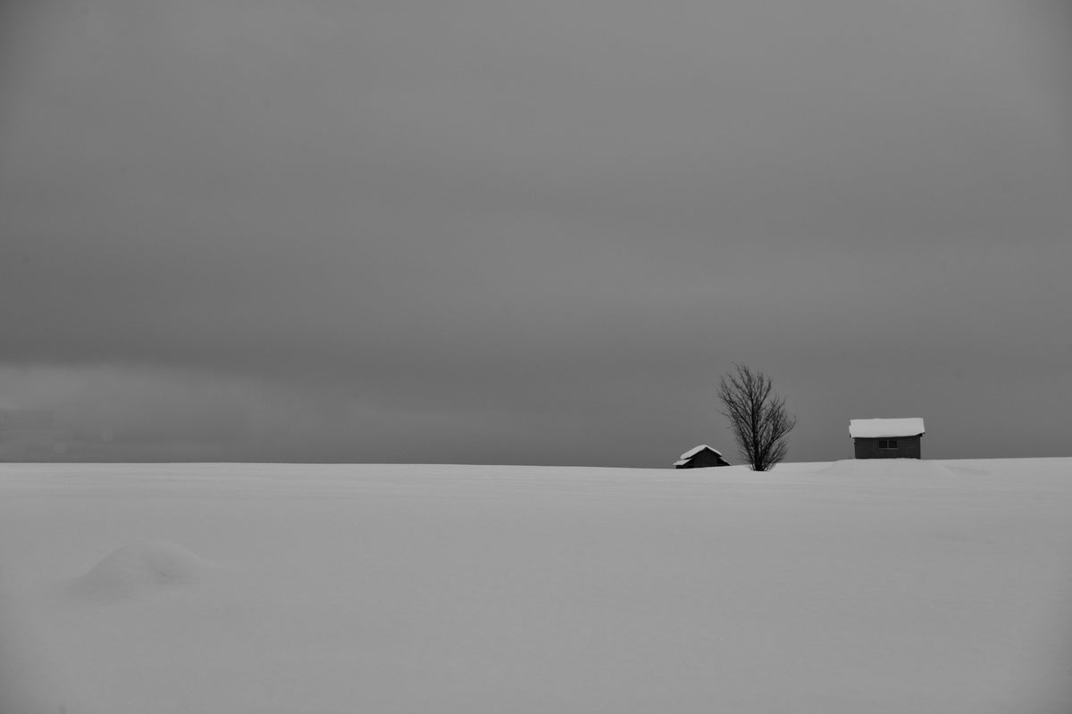 photo-wallpaper-snow-fields