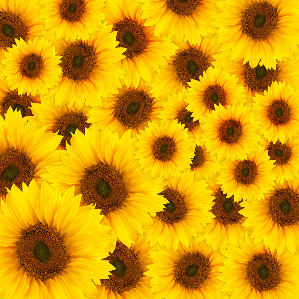 photo-wallpaper-a-bouquet-sunflower