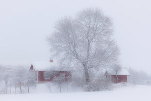 photo-wallpaper-winter-idyll-x