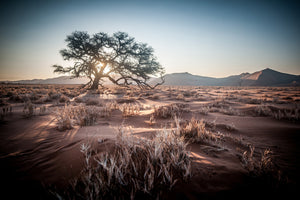 photo-wallpaper-longing-africa