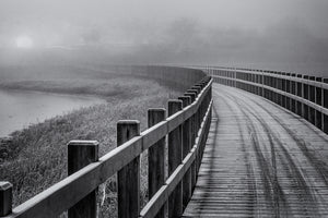 photo-wallpaper-the-path-to-something-better-x