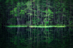 photo-wallpaper-green-world-x