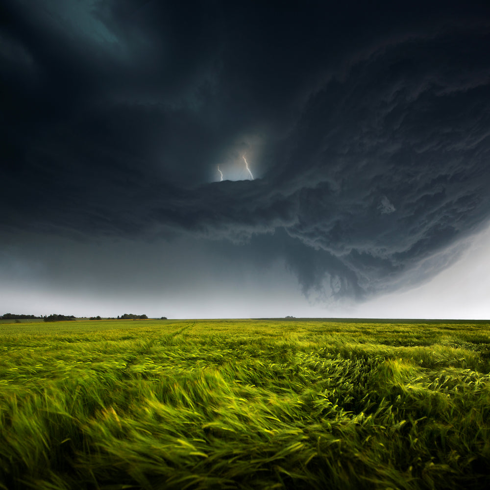 photo-wallpaper-sommergewitter-ii