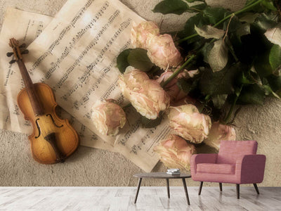 photo-wallpaper-the-violin