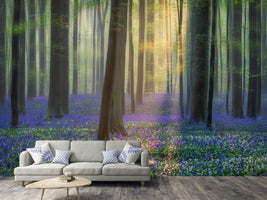 photo-wallpaper-daydreaming-of-bluebells-xfv