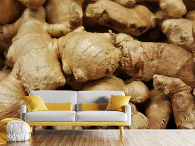 photo-wallpaper-ginger-tubers