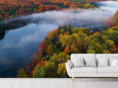 photo-wallpaper-autumn-symphony-ii-x