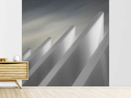 photo-wallpaper-winged-walls