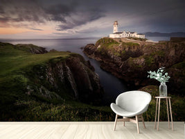 photo-wallpaper-fanad-head-x