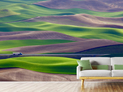 photo-wallpaper-driving-in-the-wheat-field-at-palouse-x