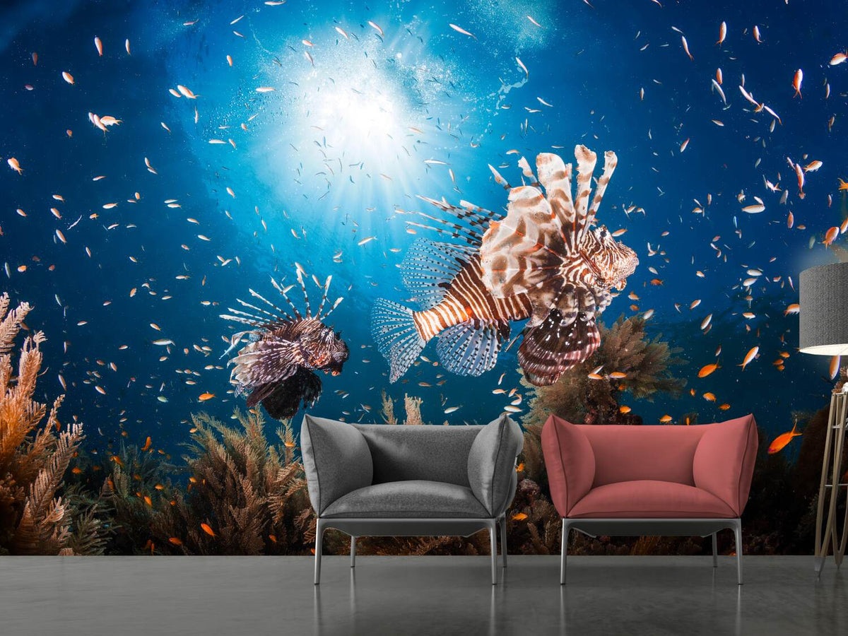 photo-wallpaper-lionfish-ii