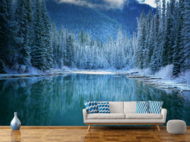 photo-wallpaper-wonder-winter-land-x