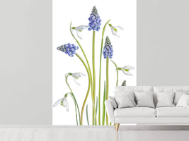 photo-wallpaper-muscari-and-galanthus