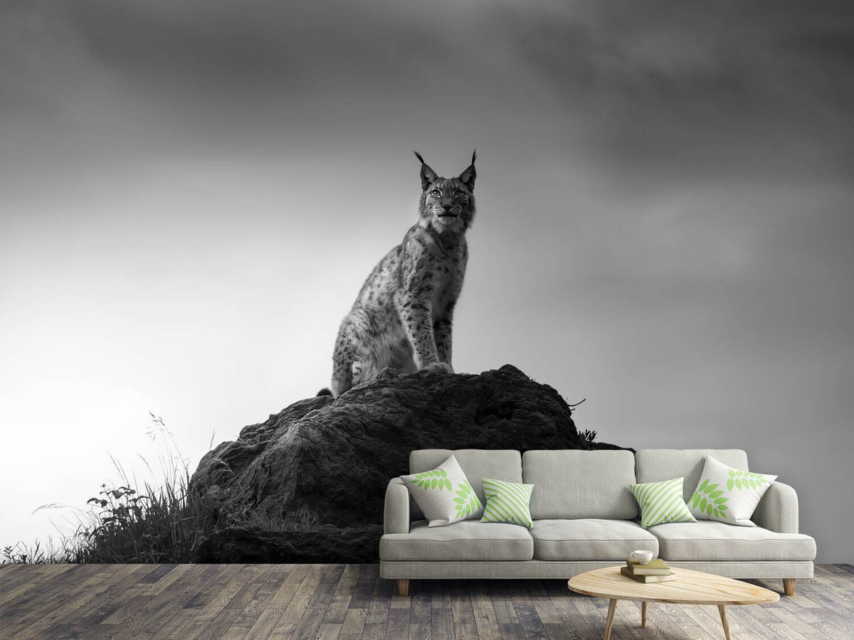 photo-wallpaper-lynx-drama-x