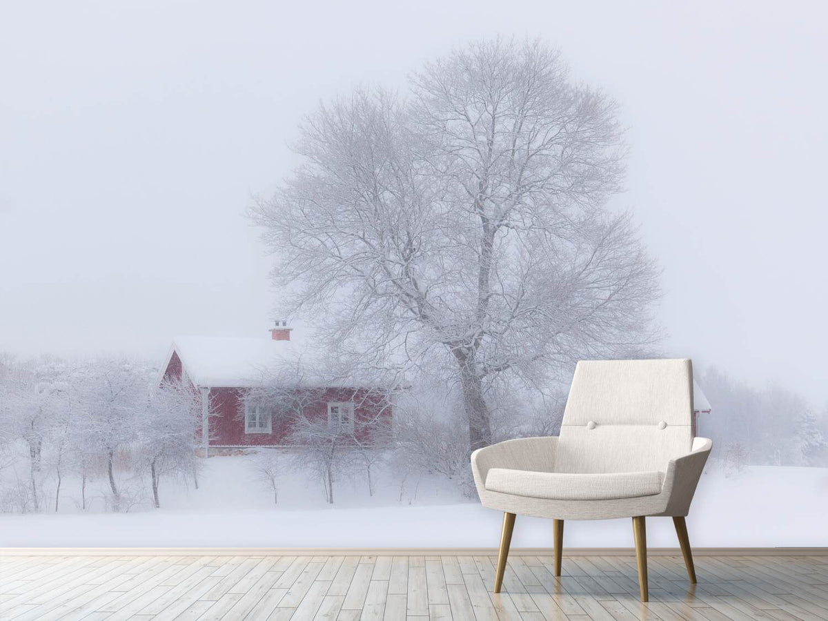 photo-wallpaper-winter-idyll-x