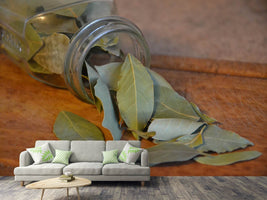 photo-wallpaper-bay-leaves