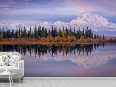 photo-wallpaper-denali-reflection-x