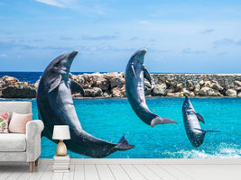 photo-wallpaper-3-dolphins