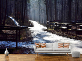 photo-wallpaper-a-path-in-the-snow