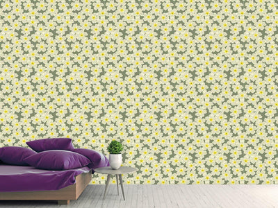 patterned-wallpaper-beauty-of-the-primels